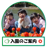 つぼみ保育園入園のご案内