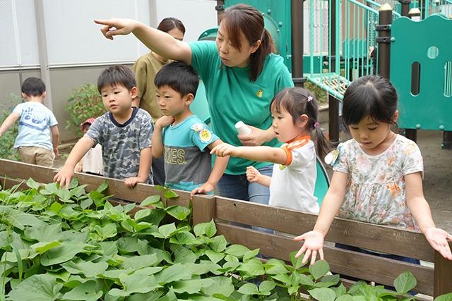 食育を助ける自家菜園・農園